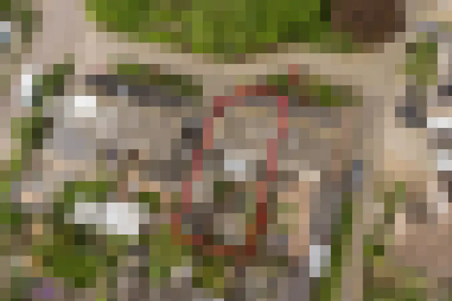 Brandenhof 6 Altforst thumbnail 54