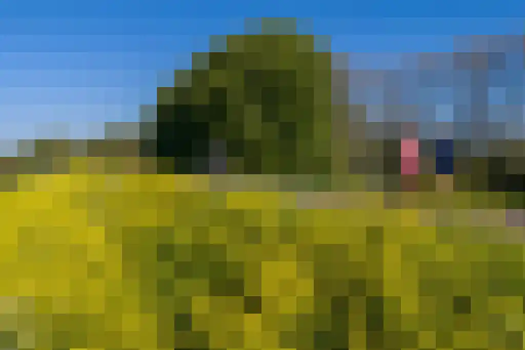 Brandenhof 6 Altforst thumbnail 55