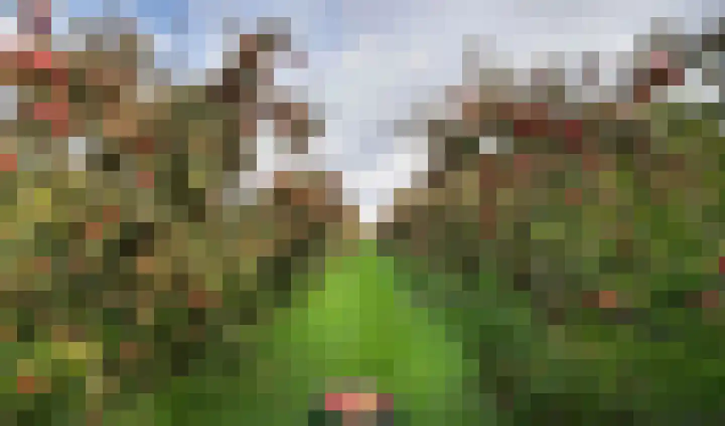 Brandenhof 6 Altforst thumbnail 61
