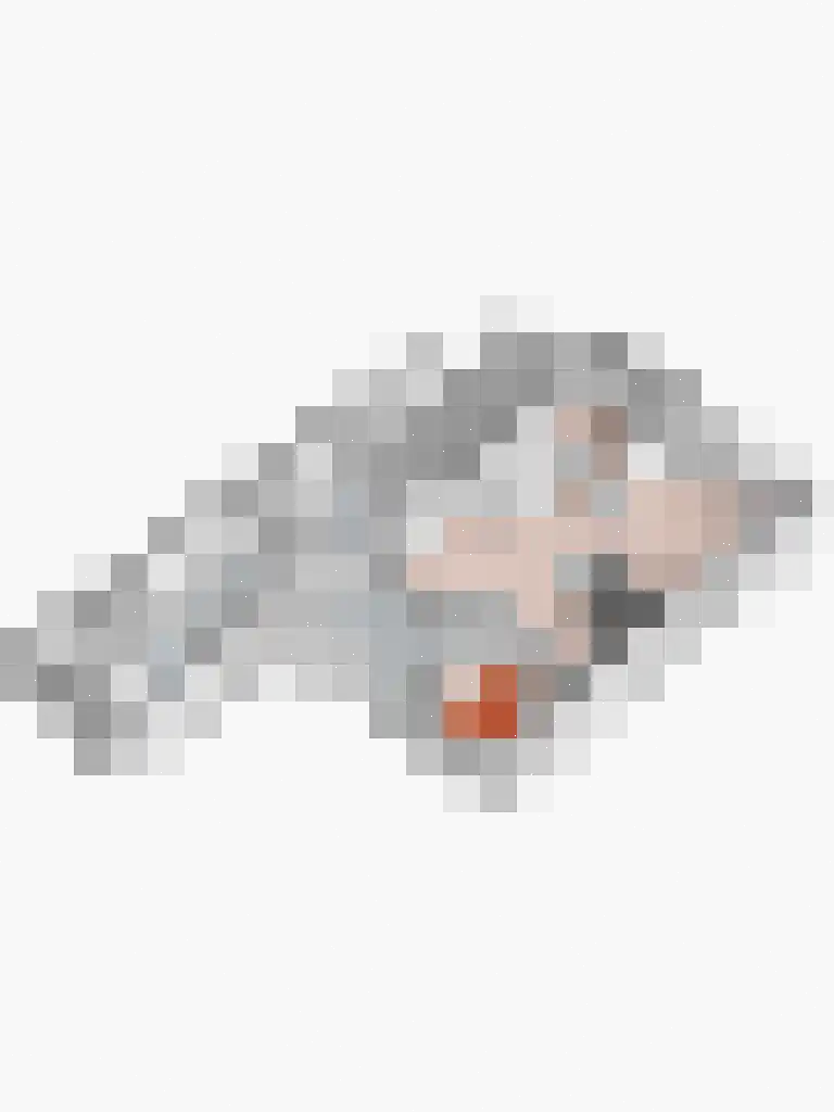 Brandenhof 6 Altforst thumbnail 68