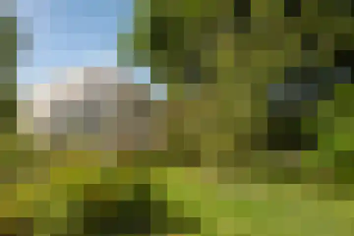 Brandenhofstraat 5 Herveld thumbnail 10