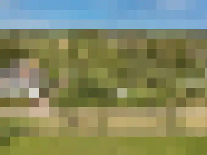 Brandenhofstraat 5 Herveld thumbnail 101