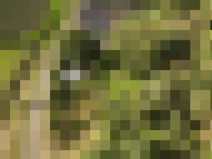 Brandenhofstraat 5 Herveld thumbnail 102