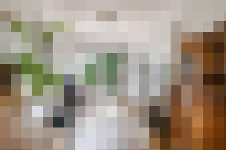 Brandenhofstraat 5 Herveld thumbnail 19