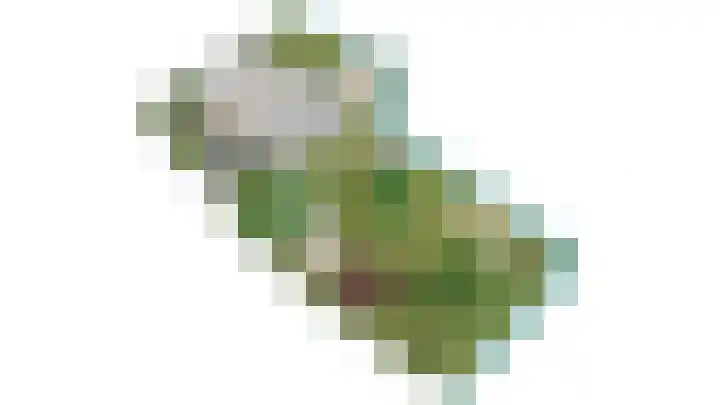 Brandenhofstraat 5 Herveld thumbnail 64
