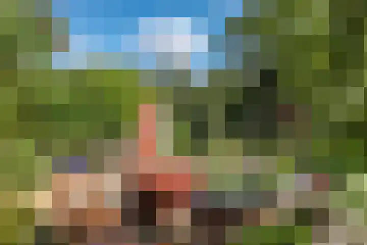 Brandenhofstraat 5 Herveld thumbnail 66