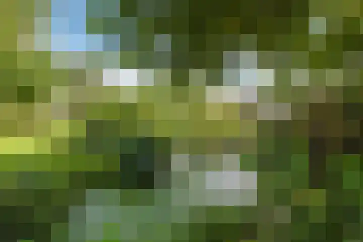 Brandenhofstraat 5 Herveld thumbnail 68