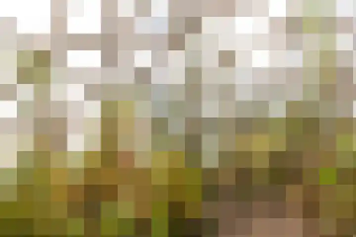 Brandenhofstraat 5 Herveld thumbnail 72
