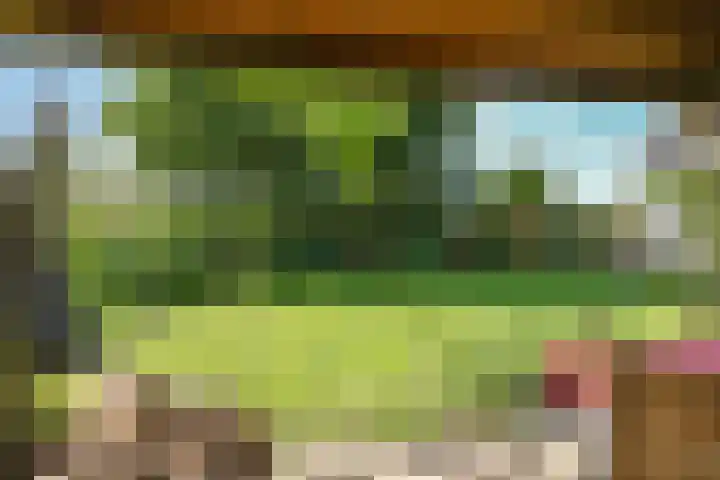 Brandenhofstraat 5 Herveld thumbnail 75