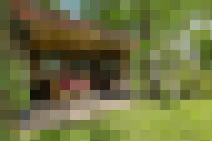Brandenhofstraat 5 Herveld thumbnail 8