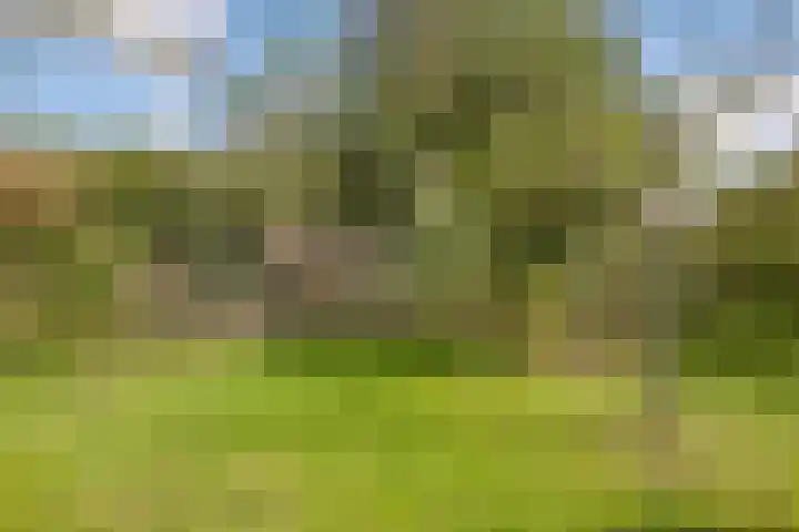Brandenhofstraat 5 Herveld thumbnail 79