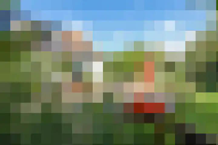 Brandenhofstraat 5 Herveld thumbnail 85