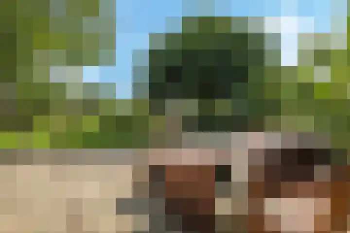 Brandenhofstraat 5 Herveld thumbnail 9