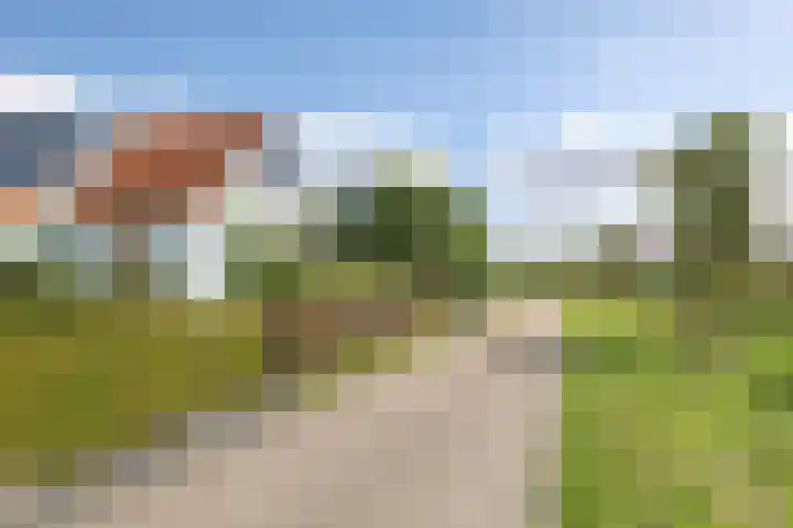 Brandenhofstraat 5 Herveld thumbnail 96