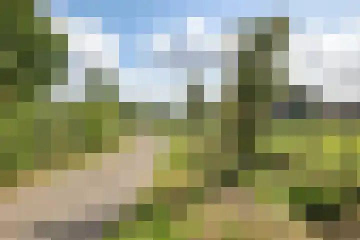 Brandenhofstraat 5 Herveld thumbnail 98