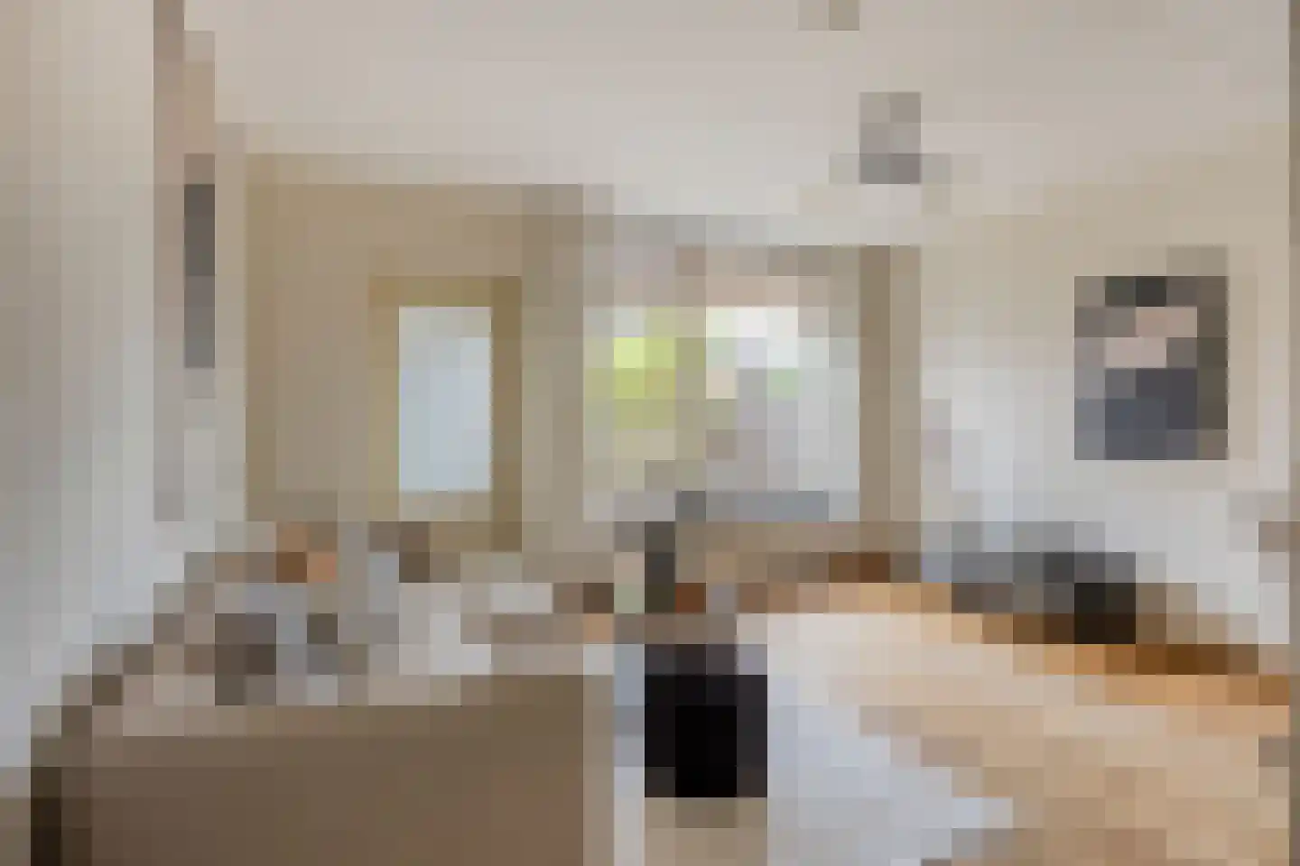 Brander 12 Woerden thumbnail 15