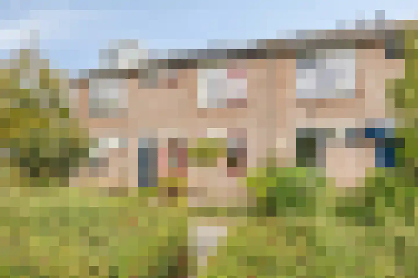 Brander 12 Woerden thumbnail 19