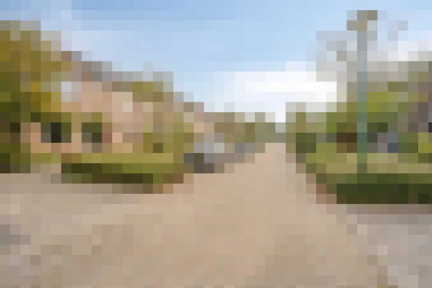 Brander 12 Woerden thumbnail 20