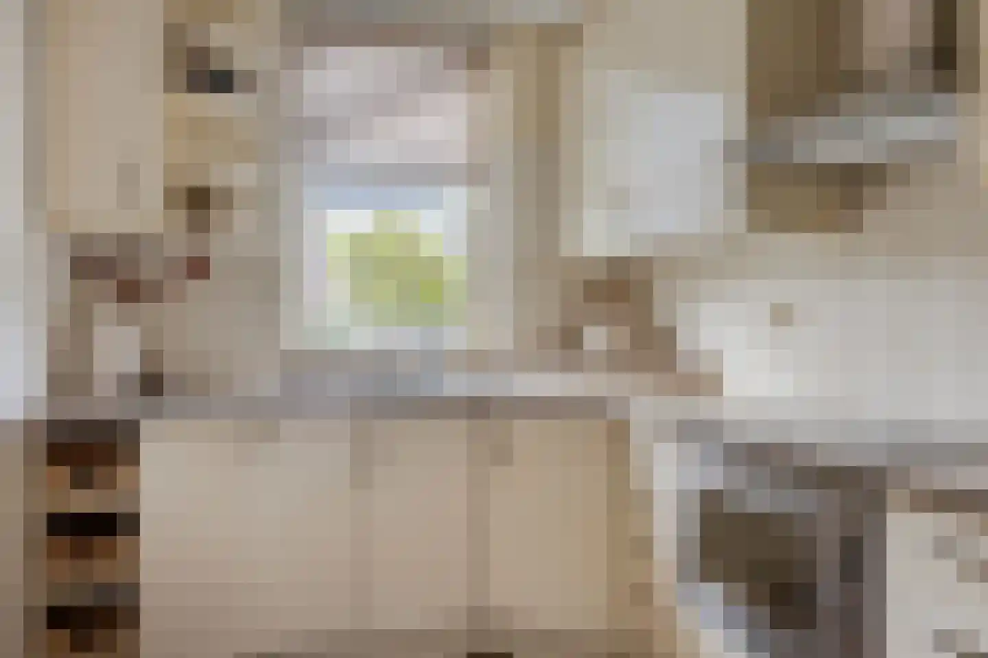 Brander 12 Woerden thumbnail 32