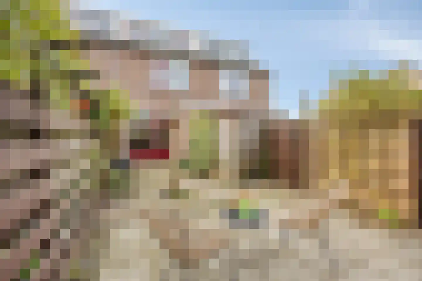Brander 12 Woerden thumbnail 56