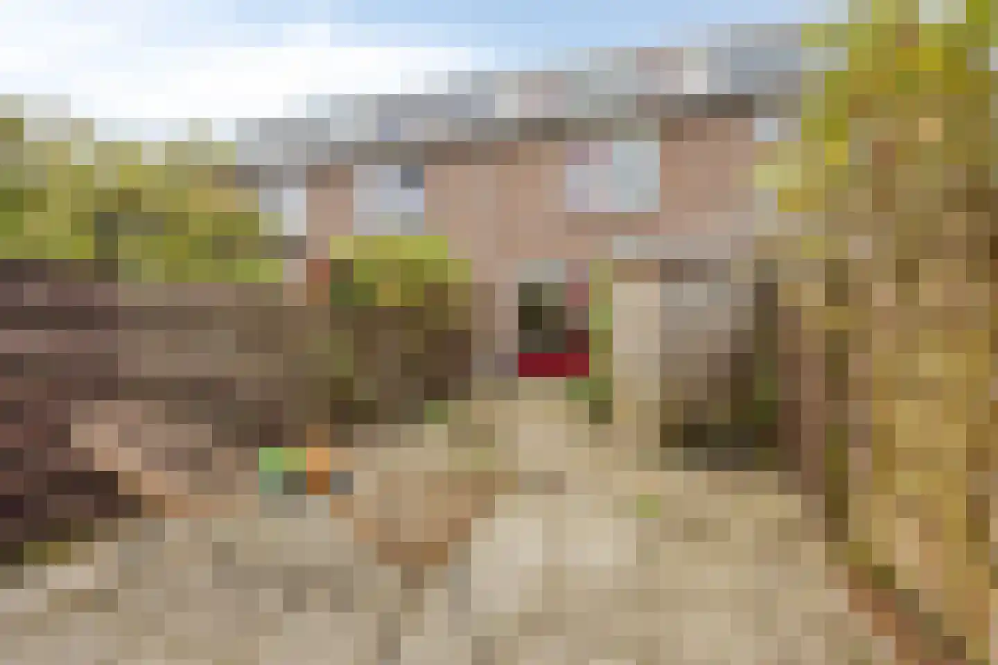 Brander 12 Woerden thumbnail 57