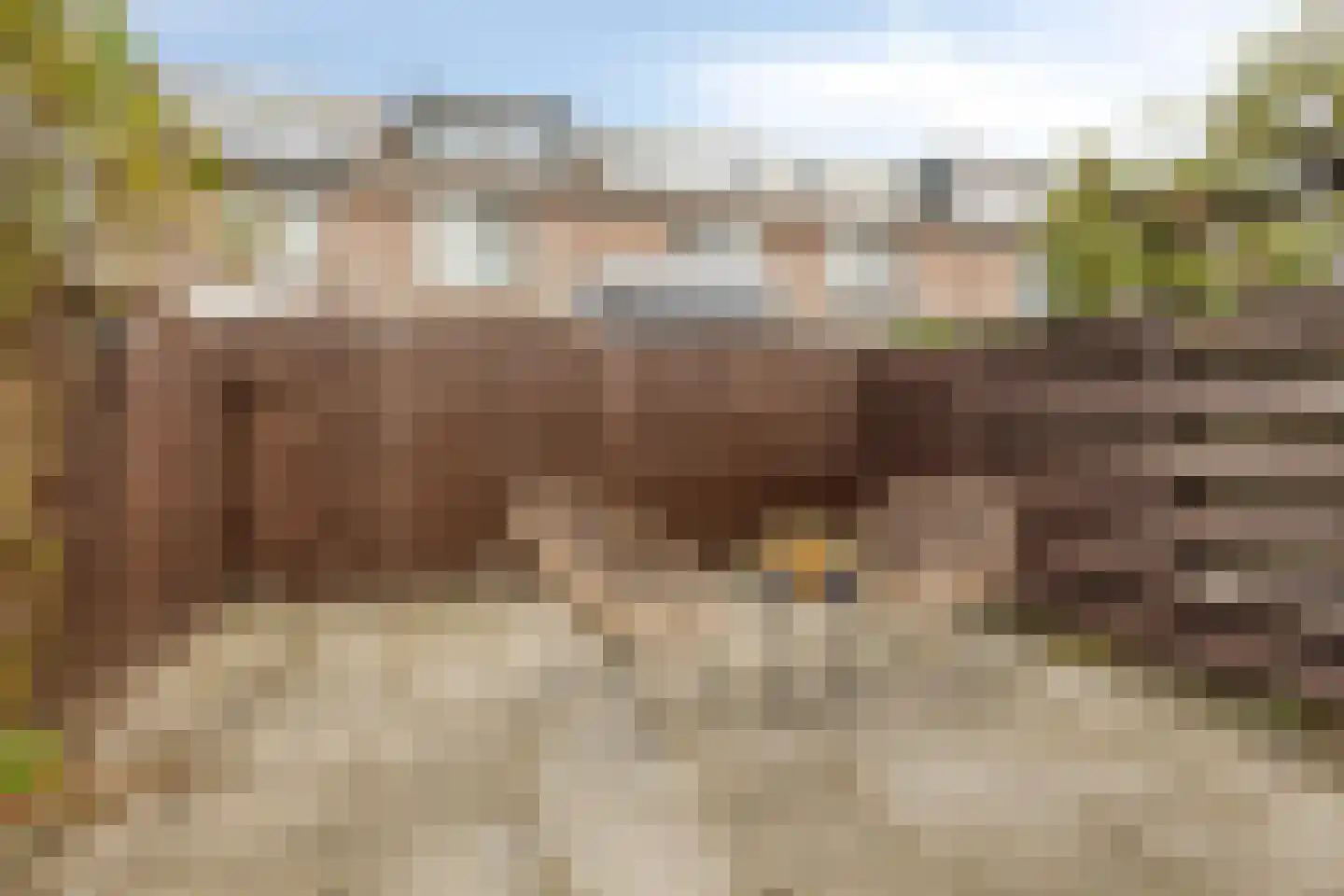 Brander 12 Woerden thumbnail 58