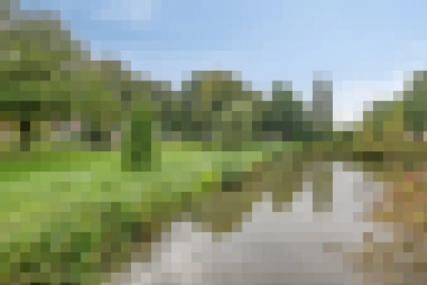 Brander 12 Woerden thumbnail 60