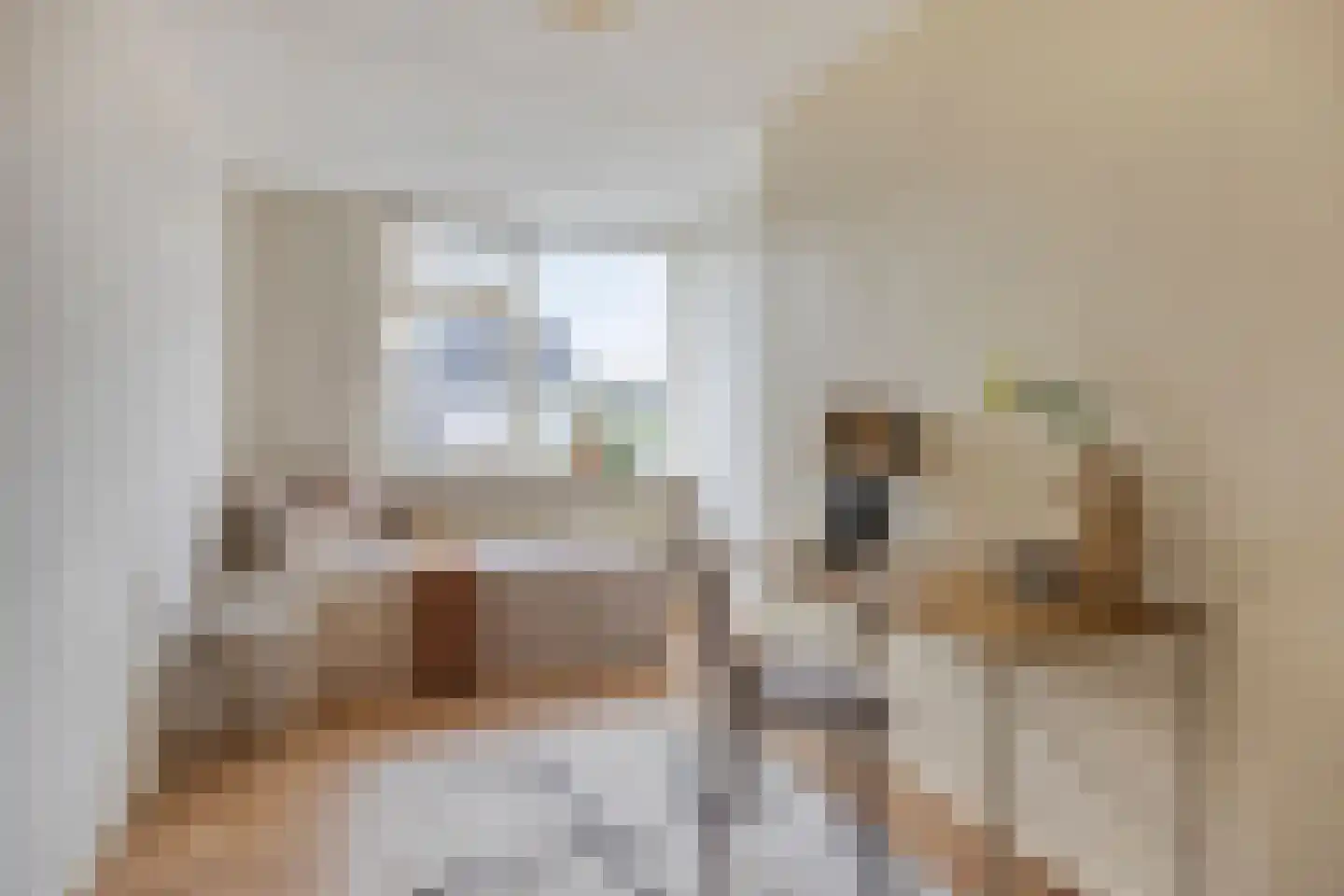 Brander 12 Woerden thumbnail 8