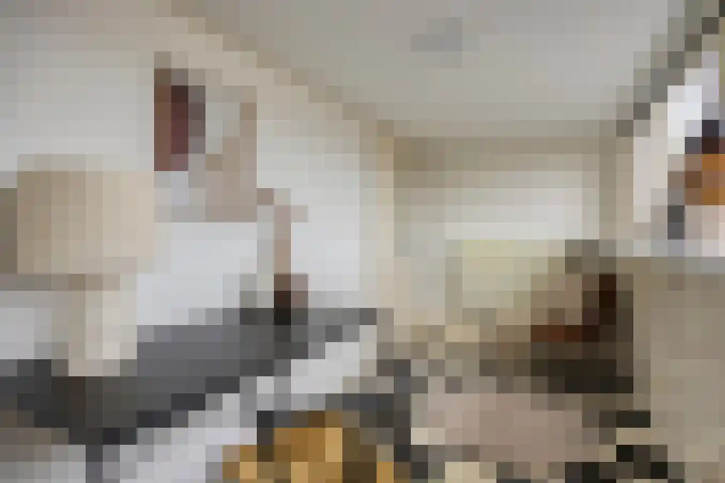 Brander 12 Woerden thumbnail 9