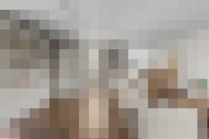 Brander 2 Woerden thumbnail 10