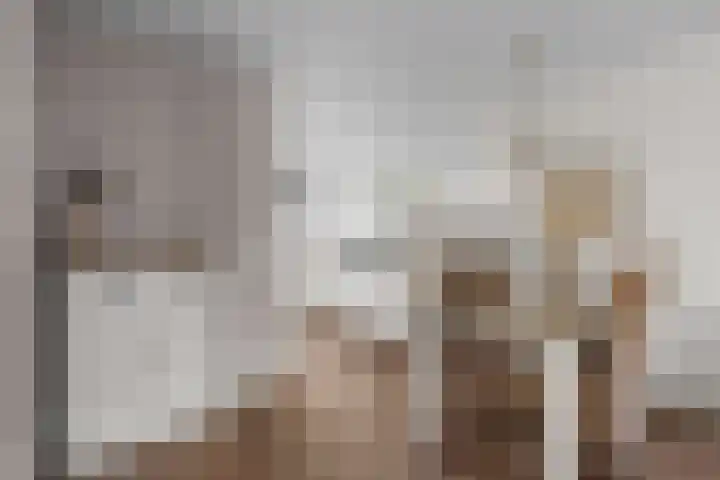 Brander 2 Woerden thumbnail 12