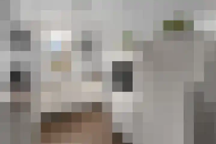 Brander 2 Woerden thumbnail 13