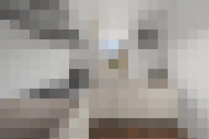 Brander 2 Woerden thumbnail 14