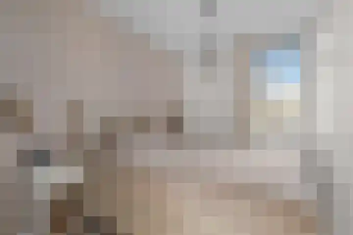 Brander 2 Woerden thumbnail 18