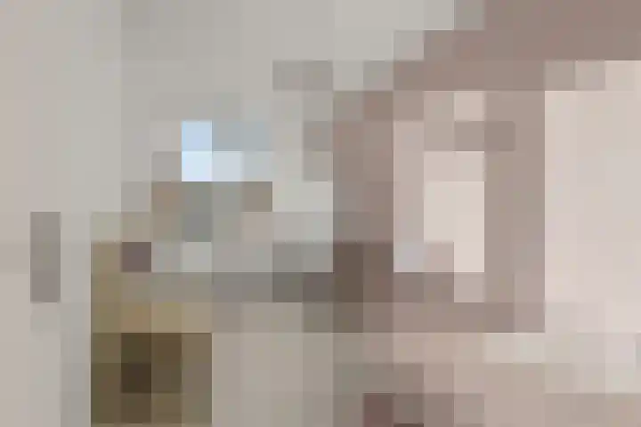 Brander 2 Woerden thumbnail 20