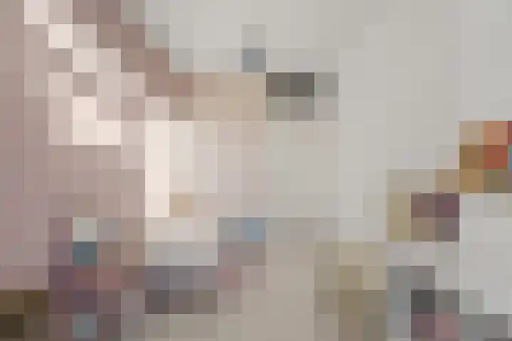 Brander 2 Woerden thumbnail 21
