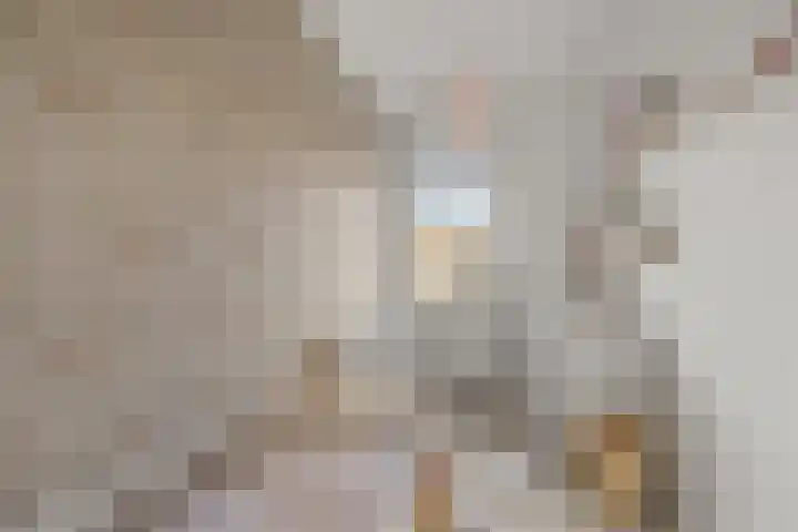 Brander 2 Woerden thumbnail 22