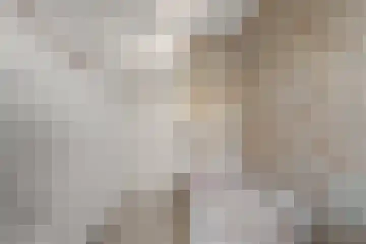 Brander 2 Woerden thumbnail 23