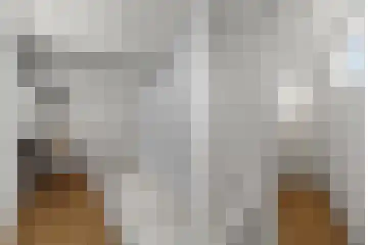 Brander 2 Woerden thumbnail 25