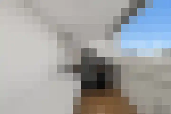 Brander 2 Woerden thumbnail 29