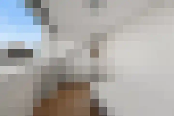 Brander 2 Woerden thumbnail 30