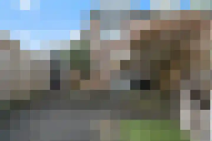 Brander 2 Woerden thumbnail 31