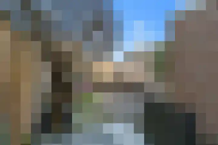 Brander 2 Woerden thumbnail 33