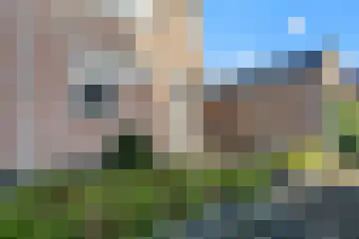 Brander 2 Woerden thumbnail 4