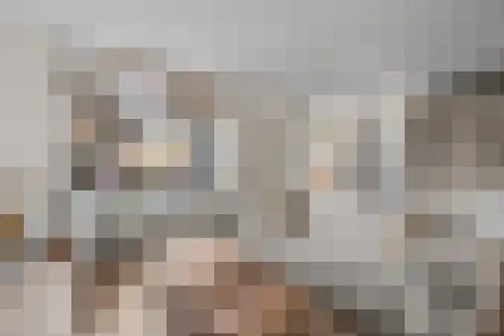 Brander 2 Woerden thumbnail 8
