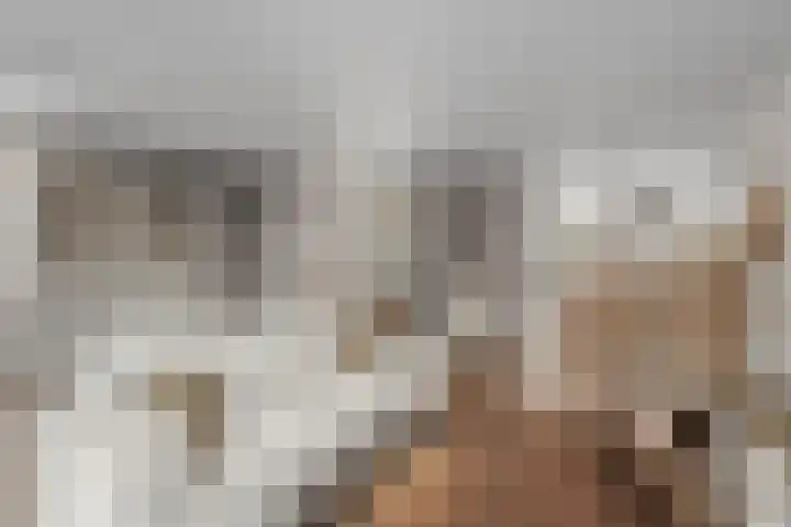 Brander 2 Woerden thumbnail 9