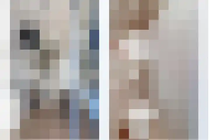 Branderij 1 Alkmaar thumbnail 10