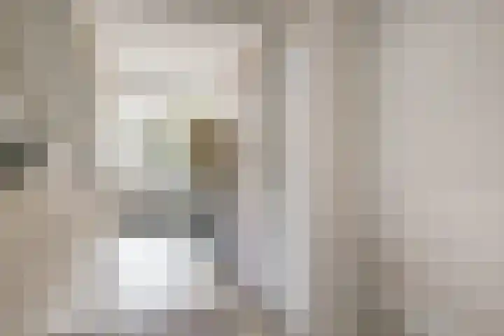 Branderij 1 Alkmaar thumbnail 11