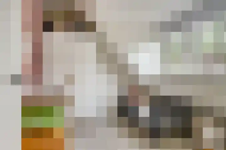 Branderij 1 Alkmaar thumbnail 16