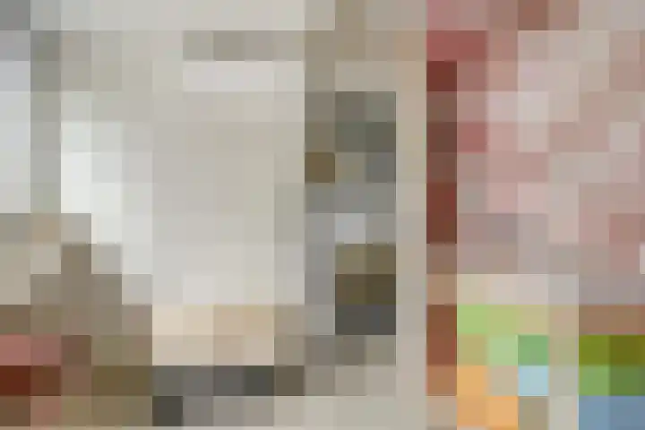 Branderij 1 Alkmaar thumbnail 17